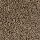 Horizon Carpet: Fine Balance (T) Scotch Tweed (T)